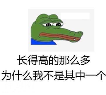 为什么为什么为什么这到底是为了什么-4.jpg