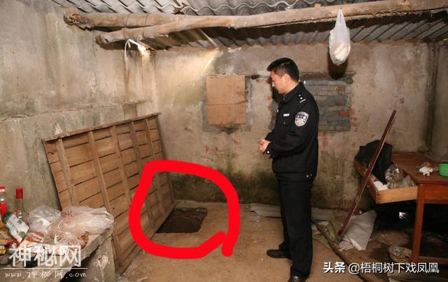 1989年的事，有一地方家家盗墓，就在自家院内，盗出青铜器埋猪圈-20.jpg