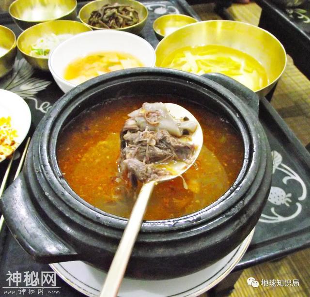 朝鲜狗肉风俗 | 地球知识局-13.jpg