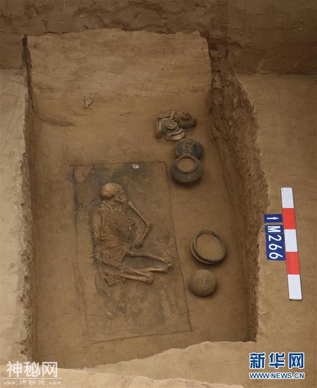黄河边发现大型古墓群 出土文物2000余件-8.jpg