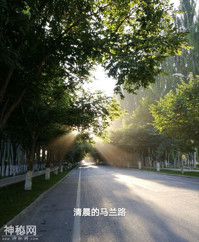ҹúը˶ε޲ʲôӣ-5.jpg