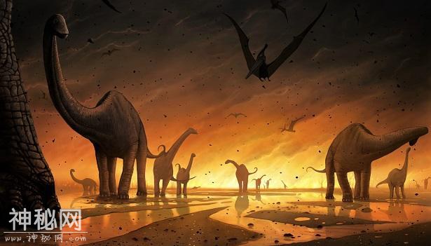 阿根廷发现巨型恐龙化石，约10米长-2.jpg