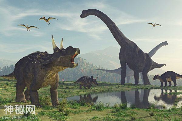 阿根廷发现巨型恐龙化石，约10米长-3.jpg