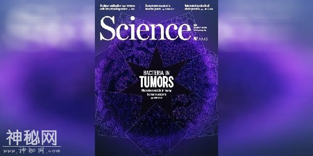 Science封面重磅：全面揭示肿瘤里的细菌-2.jpg