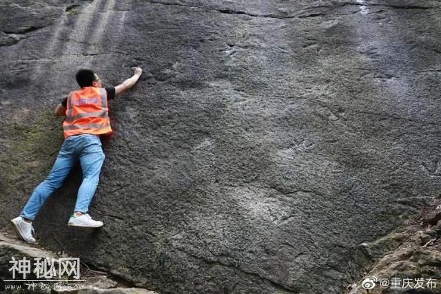ذ֣٪޼ǿʳû-1.jpg