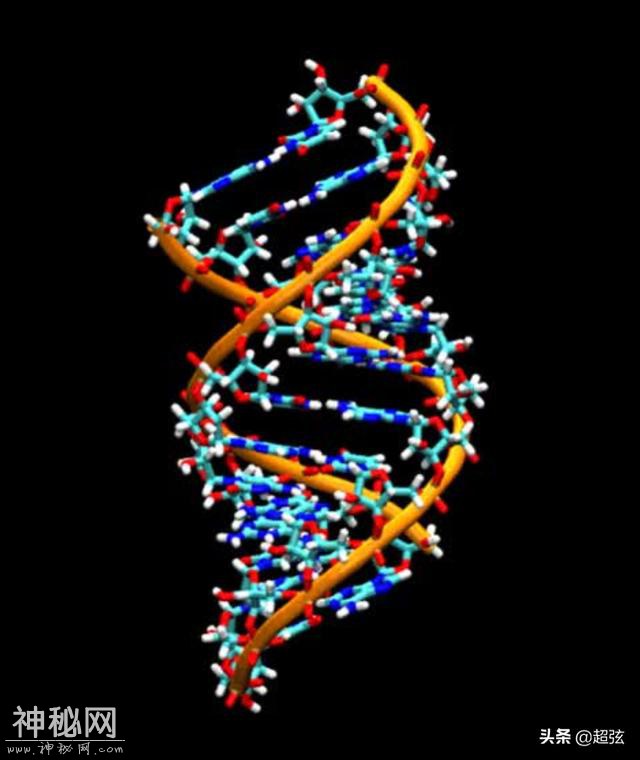 真的有外星生命吗？科学家：它们可能普遍存在，只是离我们很远-2.jpg