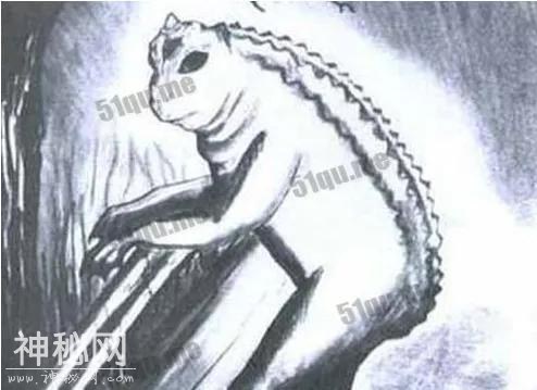 十大神秘生物，恐怖怪异的未知生物-7.jpg