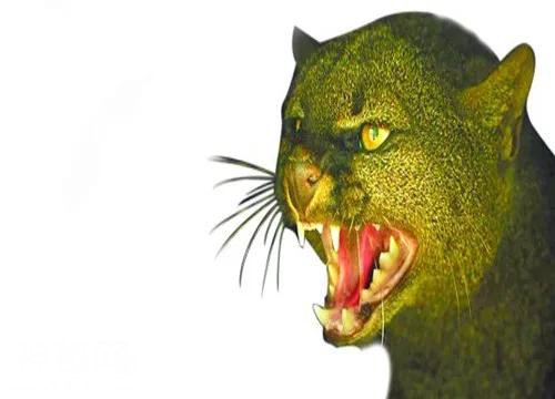 十大神秘生物，恐怖怪异的未知生物-8.jpg