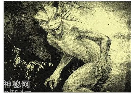 十大神秘生物，恐怖怪异的未知生物-9.jpg