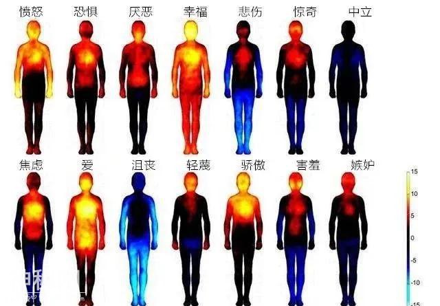 身体是“情绪的地图”，教导我们如何与世界相处-6.jpg