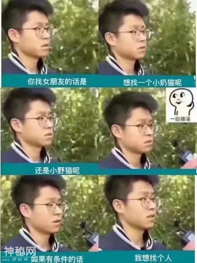 Ц˲ţЦϵУЦһ-5.jpg