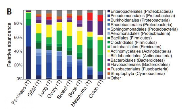 今日《科学》封面：人类肿瘤里发现大量细菌！它们究竟在做什么？-5.jpg
