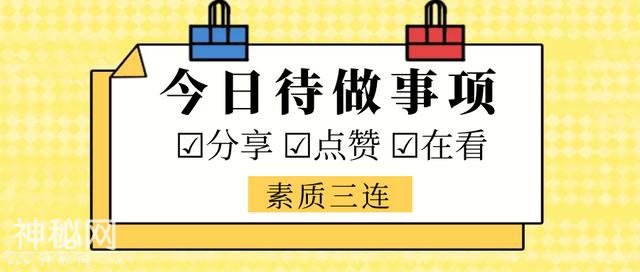 技术堆不出智慧美好的城市，人文价值决定世界好坏-16.jpg