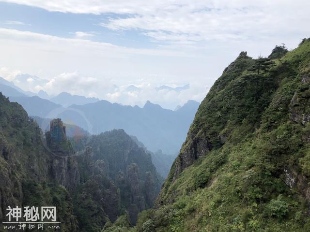 神农架探秘：传说中野人出没的地方，悬崖峭壁森林繁茂，真刺激-5.jpg