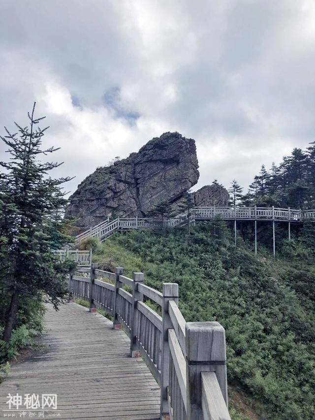 神农架探秘：传说中野人出没的地方，悬崖峭壁森林繁茂，真刺激-4.jpg