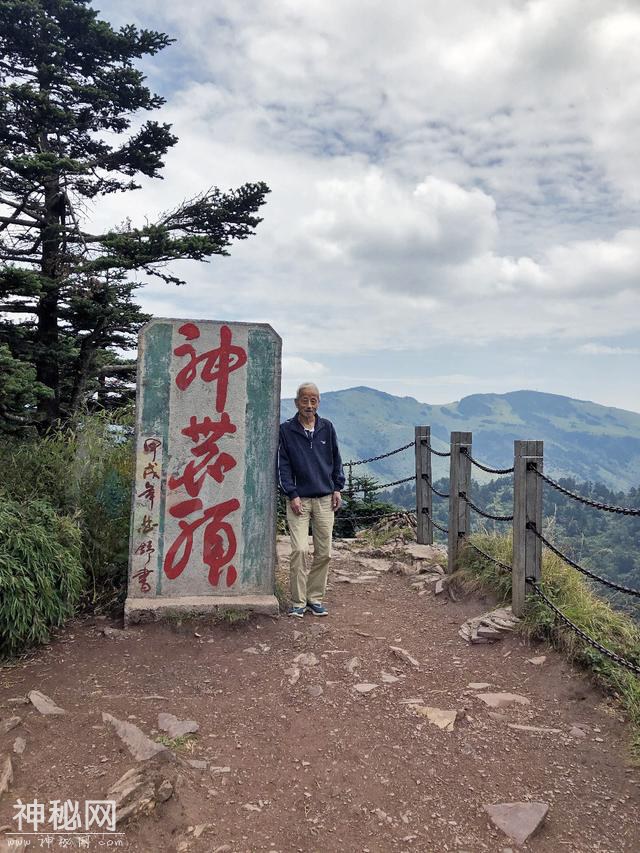 神农架探秘：传说中野人出没的地方，悬崖峭壁森林繁茂，真刺激-6.jpg