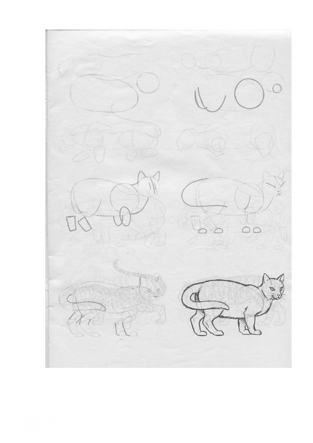 50个常见动物的画法-15.jpg