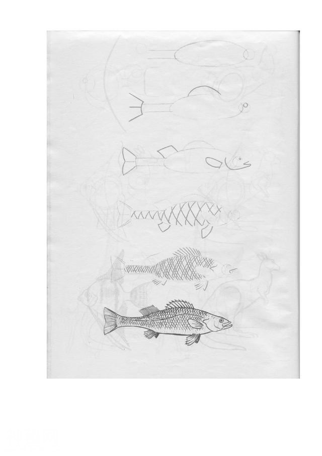 50个常见动物的画法-44.jpg