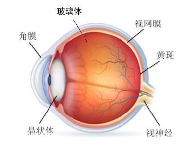 眼前老有黑影飘，是“见鬼”了吗？-2.jpg