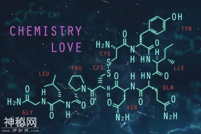 生物到底研究些啥-1.jpg