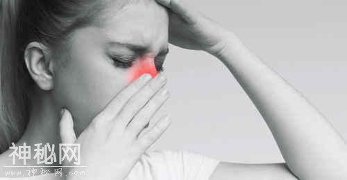 比利时新研究：鼻内好细菌少，就爱犯鼻炎-1.jpg