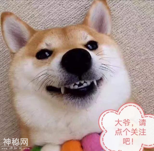 Ц棺ֻʣˣ-6.jpg
