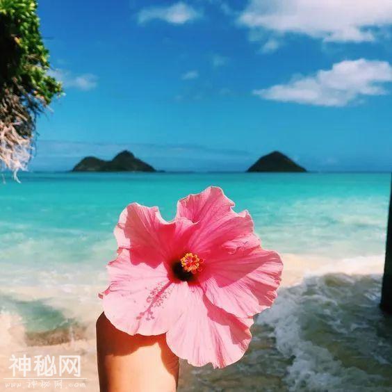 á17:25ִڲ䡷-1.jpg