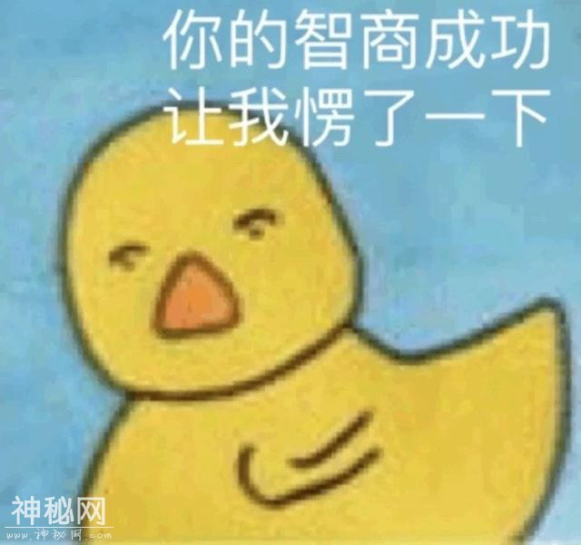 搞笑表情包：天道好轮回，脱发饶过谁-5.jpg