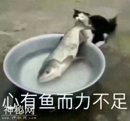 ЦֻأѷĹ˭-3.jpg