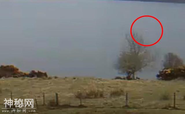 镜头证实真实，4月再爆“尼斯湖水怪”出没，它真的存在吗？-1.jpg
