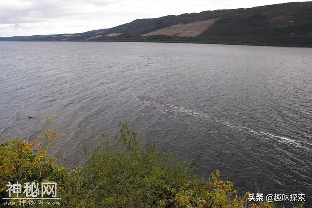灰黑色背脊，目测长十几米，英国尼斯湖再现未知生物目击事件-3.jpg