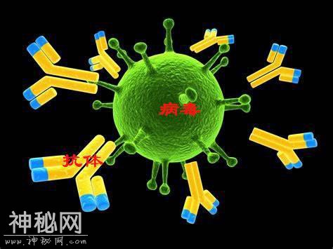 科普：病毒为什么可怕？-11.jpg