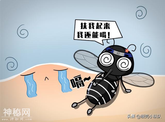不是开玩笑！蚊子被评为世界上最危险的动物-4.jpg