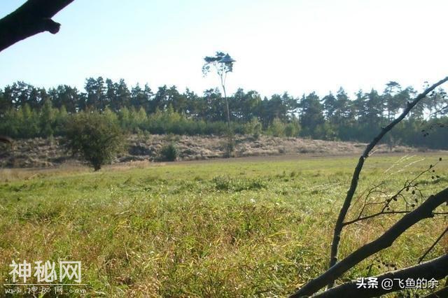 波兰男子野外骑车，意外拍下神秘UFO照片，画质清晰可见令人称奇-1.jpg
