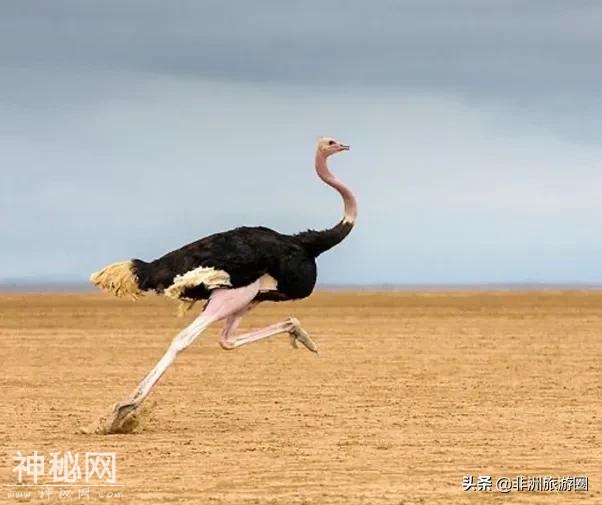 ֻڷ޳ûʮ涯Щ㶼-5.jpg