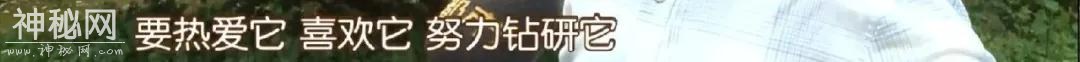 身怀绝技！断骨复位只需十来秒！“江氏正骨术”每天近千患者排队等待-39.jpg