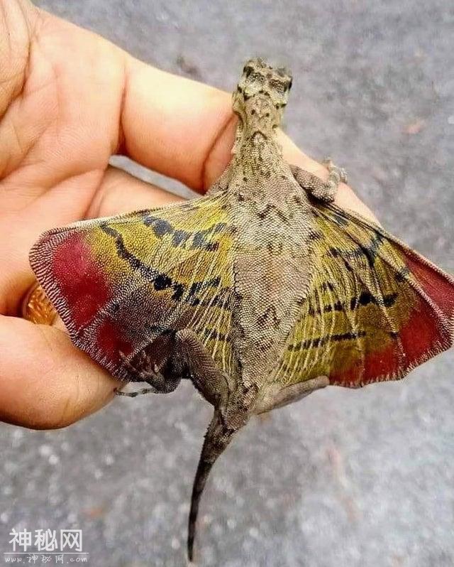 25Ų˼ͼƬ֤ȻԶĸ-15.jpg