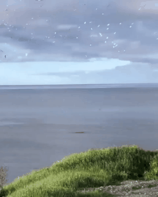 25Ų˼ͼƬ֤ȻԶĸ-19.jpg