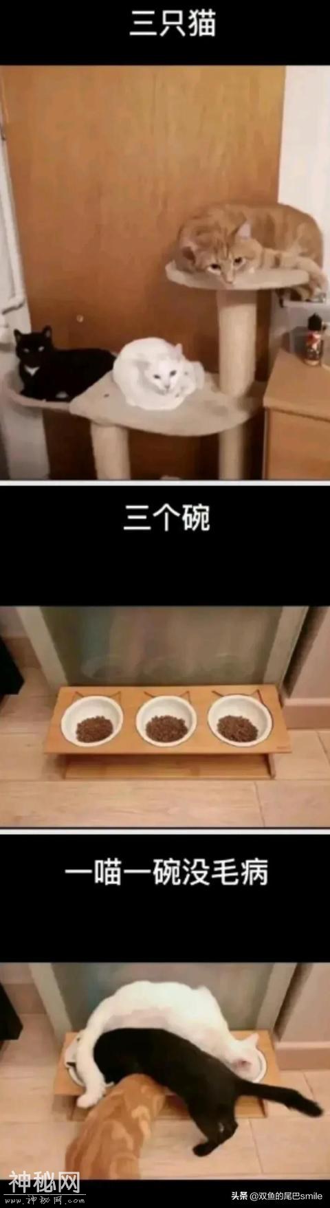 18个幽默搞笑图片段子动图（二）-11.jpg