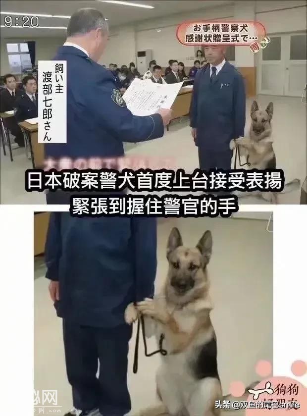 18个幽默搞笑图片段子动图（二）-12.jpg