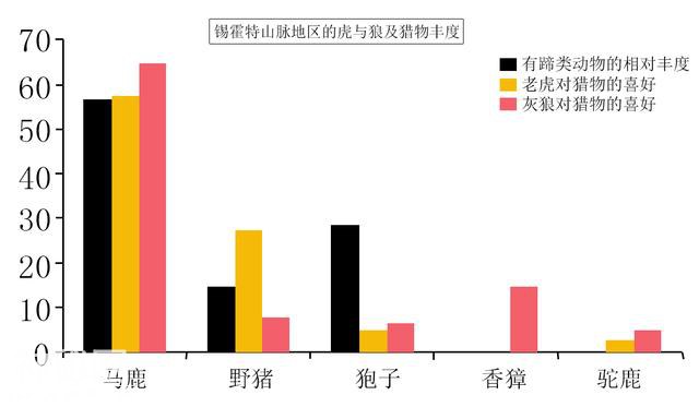 大野猪强过虎？在东北虎的地盘上，就数野猪被吃得多-5.jpg