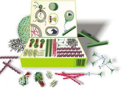 探索生命 惠益健康-2020年世界科技发展回顾·生物技术-2.jpg