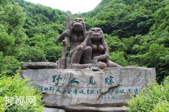 神农架的原始森林最深处，到底有什么未知生物哪？-6.jpg