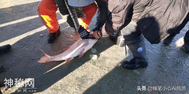 冬季旅游一路向北 吉林查干湖感受冰雕冬捕民俗文化-6.jpg