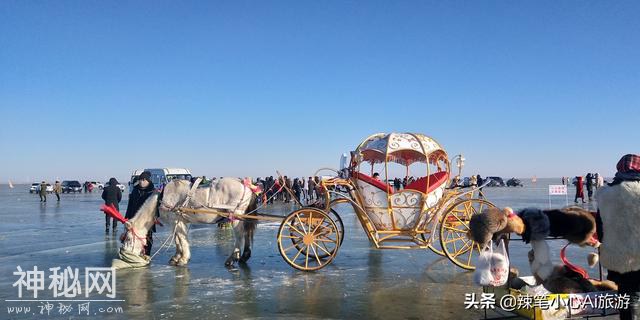 冬季旅游一路向北 吉林查干湖感受冰雕冬捕民俗文化-10.jpg