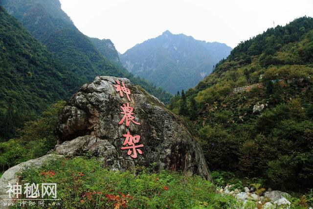 神农架-探访野人足迹，以原始神秘著称于世，森林茂密，景色宜人-1.jpg