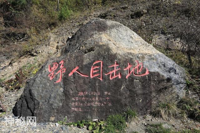 神农架-探访野人足迹，以原始神秘著称于世，森林茂密，景色宜人-11.jpg