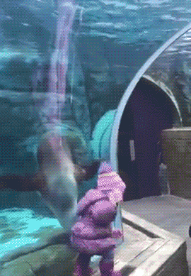 ЦϼСѣһӣúһɳ˰-1.jpg