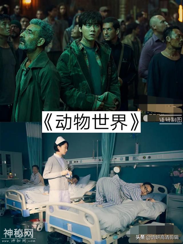 11部史诗级科幻电影，你看过哪几部？哪一部最好看？-6.jpg