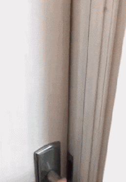 ЦϼŮ˼£ȥҲ²-1.jpg